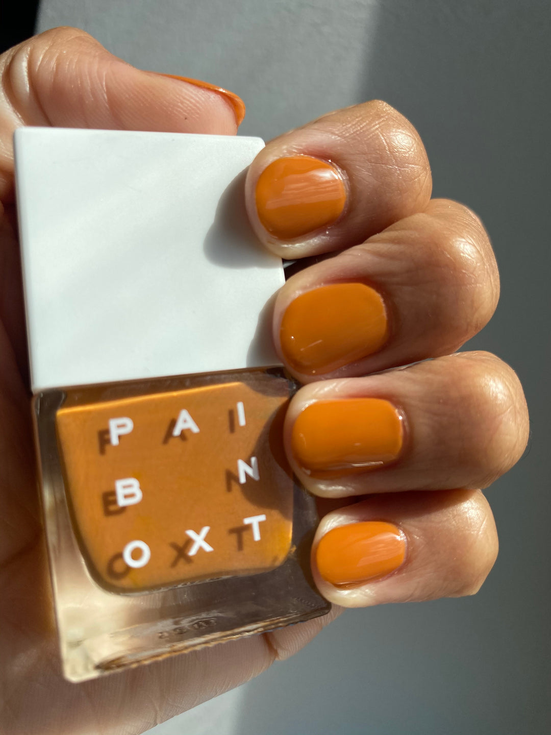 The Paint Box – Paintbox